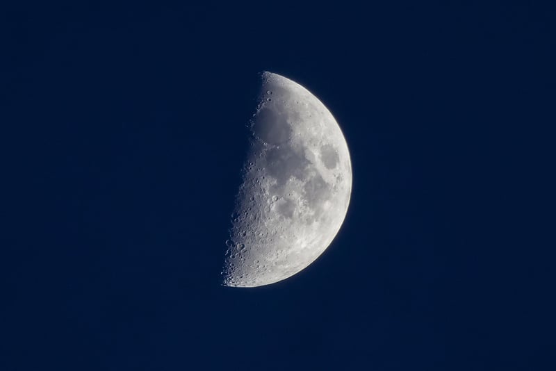 Lunar Love